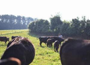 DSC_2697_unkenntlich_1000px